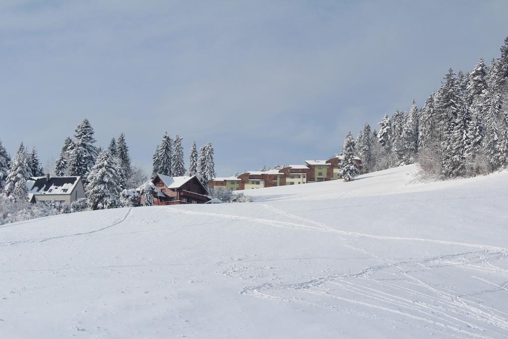 Pine Wood Apartment Vyšné Ružbachy Εξωτερικό φωτογραφία
