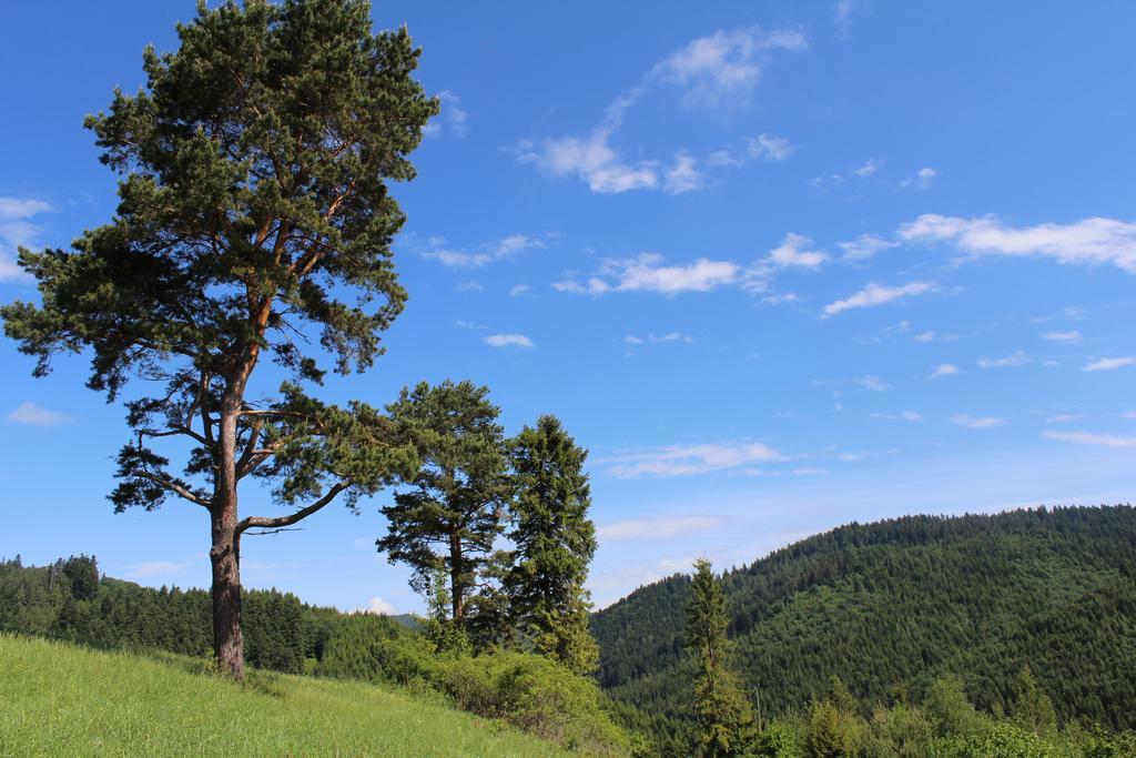 Pine Wood Apartment Vyšné Ružbachy Εξωτερικό φωτογραφία