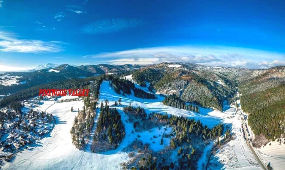 Pine Wood Apartment Vyšné Ružbachy Εξωτερικό φωτογραφία